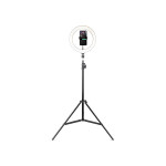 Havit ST7012I Tripod With 10 Inches RING LIGHT For Live Streaming