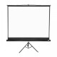 Apollo 96"x96" Tripod Projection Screen