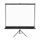 Apollo 96"x96" Tripod Projection Screen
