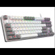 AULA F3287 TKL Mechanical Gaming Keyboard