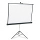 Apollo 70"x70" Tripod Projection Screen