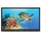 Boxlight ProColor 864U 86 4K Interactive Flat Panel Display