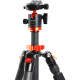 K&F Concept SA254C1 Professional Carbon Tripod designed for photographers, showcasing its lightweight and durable features in a studio setting