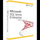 Microsoft SQL Server 2022 Enterprise 2 Core License Pack (CSP Perpetual)