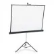 Apollo 70"x70" Tripod Projection Screen