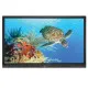 Boxlight ProColor 654U 65 4K Interactive Flat Panel Display