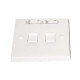 CommScope 2225212-1 Dual Port Faceplate