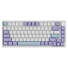 Ajazz AK820 75% Gasket-mounted Sea Salt Switch Wired Mechanical Keyboard