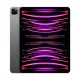 Apple iPad Pro M2 Chip 12.9-inch Retina XDR Display 256GB Wi-Fi + Cellular Space Gray (MP603LL/A)