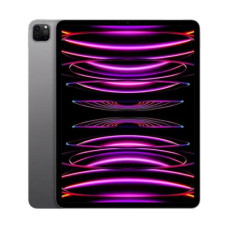 Apple iPad Pro M2 Chip 12.9-inch Retina XDR Display 256GB Wi-Fi + Cellular Space Gray (MP603LL/A)