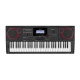 Casio CT-X9000IN 61-key Standard Musical Keyboard Without Adapter