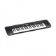 CASIO CTK-245 49-key Musical Standard Keyboard Without Adapter