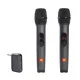 JBL Wireless Microphone with Two Microphone System