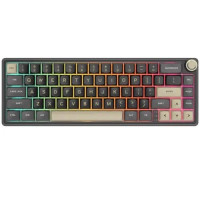 Royal Kludge RK R67 RGB FlexSwap Mechanical Keyboard