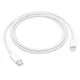 Apple MLL82ZA/A 2 Meter USB Type-C to Lighting Cable