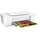 Top Printer Options for Your Business