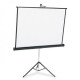 Apollo 70 x70 Tripod Projection Screen 2026 jessore bd