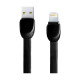 USB Male to Lightning, 1 Meter, Black Data Cable