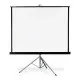 Apollo 70x70 Wall Projection Screen