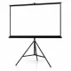 Apollo 96x 96 Electric Projection Screen