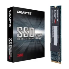 Gigabyte 256GB M.2 PCIe SSD