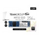 TEAM MP32 M.2 2280 256GB PCI E Gen3x2 SSD