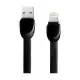 USB Male to Lightning, 1 Meter, Black Data Cable